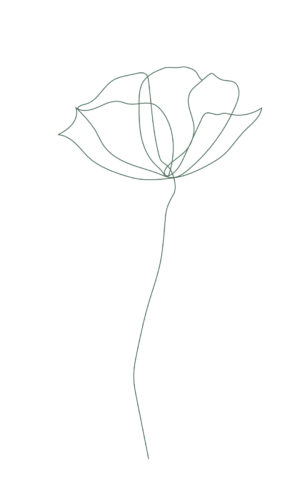 Blume-Illustration